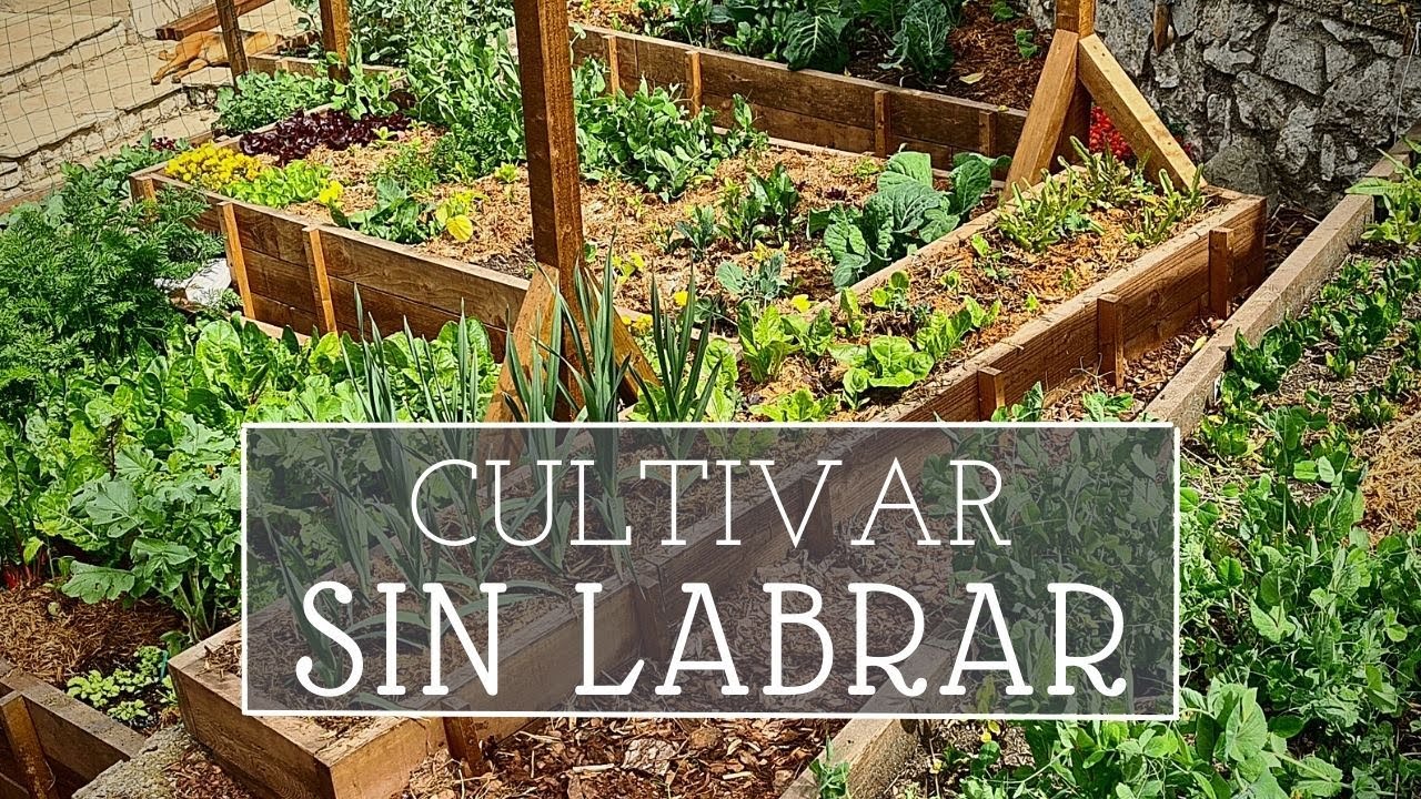 Por qué cultivamos SIN LABRAR | No dig - agricultura regenerativa