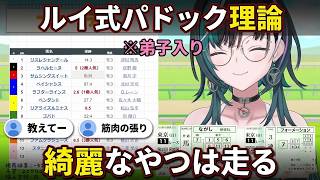 "綺麗っていうやつはだいたい走る"鷹嶺ルイ先輩のパドック理論に弟子入りする千速【輪堂千速/FLOW GLOW】
