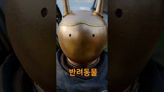 유튜브 썸네일