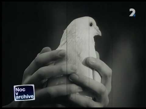 Prúdy Pavol Hammel - Aleluja 1968