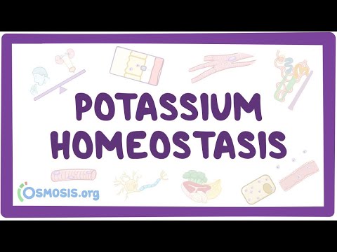 Potassium homeostasis an Osmosis Preview