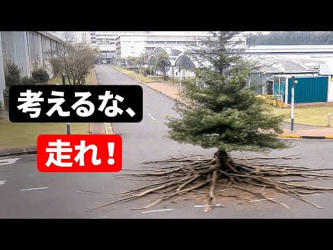 youtube-社会・政治・ビジネス記事2026/01/05 10:50:16