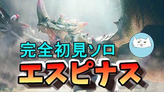 【モンハン サンブレイク】完全初見ソロでサンブレイクのエスピナスに挑む！！【モンハン】【実況】