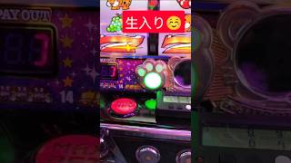 【深夜の大#発狂 】#マイジャグラーv で色々#ペカリ ！77ゲームで生入りした僕☺#ジャグラー #パチスロ #独身中年 。　