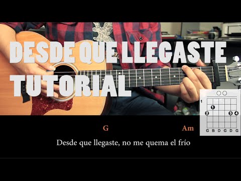 Desde que llegaste - Elefante