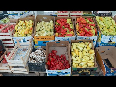 Info - Da li spremate zimnicu? (TV KCN 09.09.2023.)