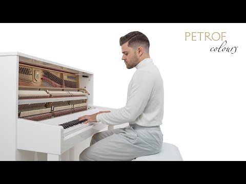 Avicii - Wake Me Up | Piano Cover by Jan Vesely | PETROF COLOURS