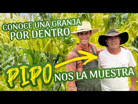 Agricooltores: Conoce una granja por dentro Pipo nos la muestra 🧑🏻‍🌾.