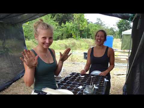 Freiwilligenarbeit in Ecuador: Erdbebenhilfe und Permakultur