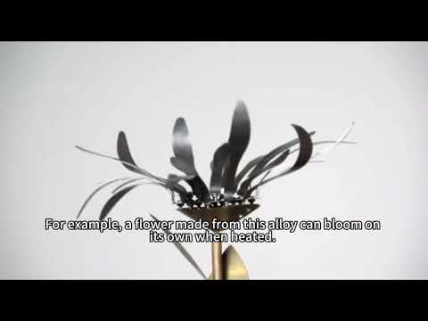 What is Nitinol?