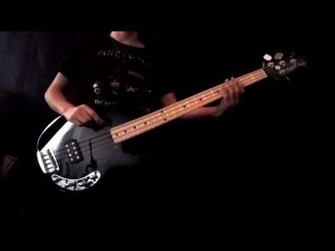 Pink Floyd - The Happiest Days of Our Lives / Another Brick In The Wall (Bass Cover)