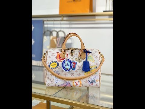 Louis Vuitton SPEEDY SOFT 30 Handbag M14587