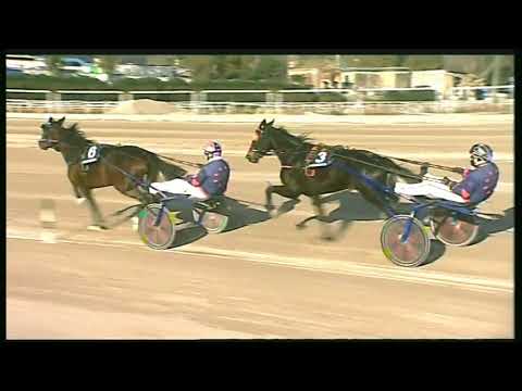 Trotto 09/02/2020 - 3ª corsa