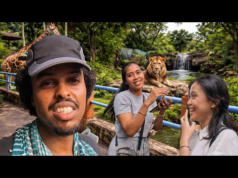 I visited the World’s Most Corrupt Zoo (Surabaya)