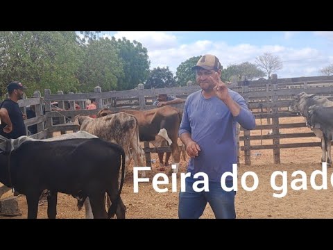 Feira do gado em brejinho Pernambuco 
