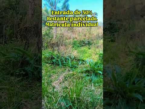 Chácara em Quatro Barras Paraná 41997779319