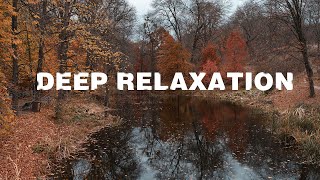 Relaxing Music 🎧 Chill Out Relax 🎧 Shofik- Deep Relaxation