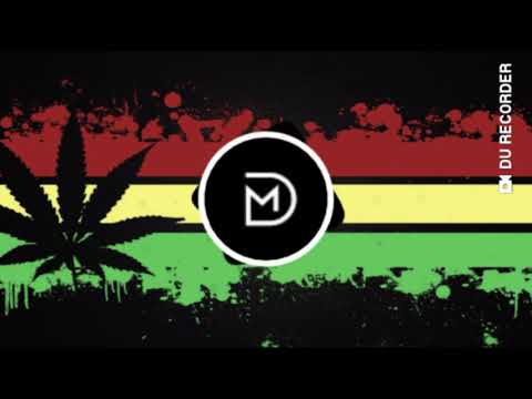 Fiddler feat. Mayloo - Reggaestep Official [DUBSTEP x REGGAE]