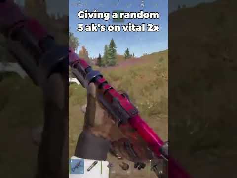 Giving a random 3 ak's on vital | RUST