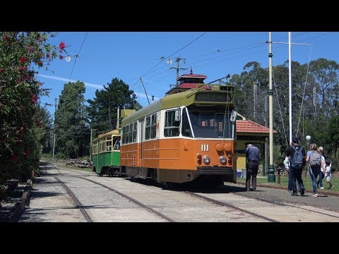 4K TRAMS! MMTB 100 Year Celebration at Sydney Tramway Museum