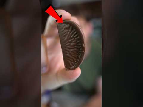 A Chocolate Orange? 🍫🍊