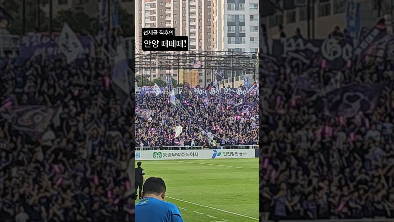 [K리그] FC안양 떼떼떼