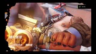 Overwatch 鬥陣特攻 攔路豬