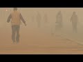 See The Delhi Pollution You Can Taste