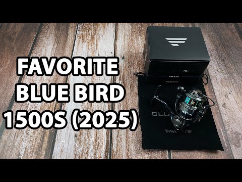 Котушка Favorite Blue Bird 1500S (2025), низькопрофільна шпуля, підшип. 9+1, швидкість: 5.2:1
