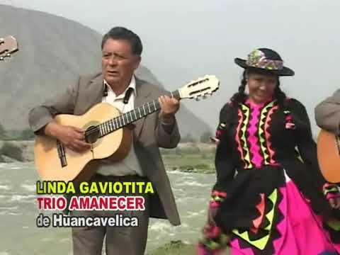 Trio Amanecer de Huancavelica - Linda gaviotita (video oficial)