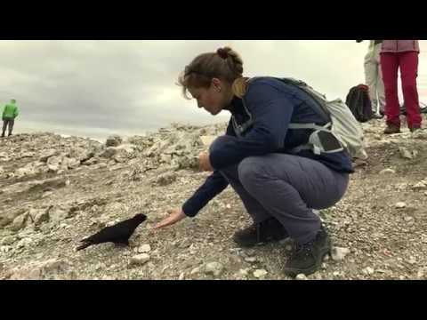 Südtirol und die Dolomiten || 4K