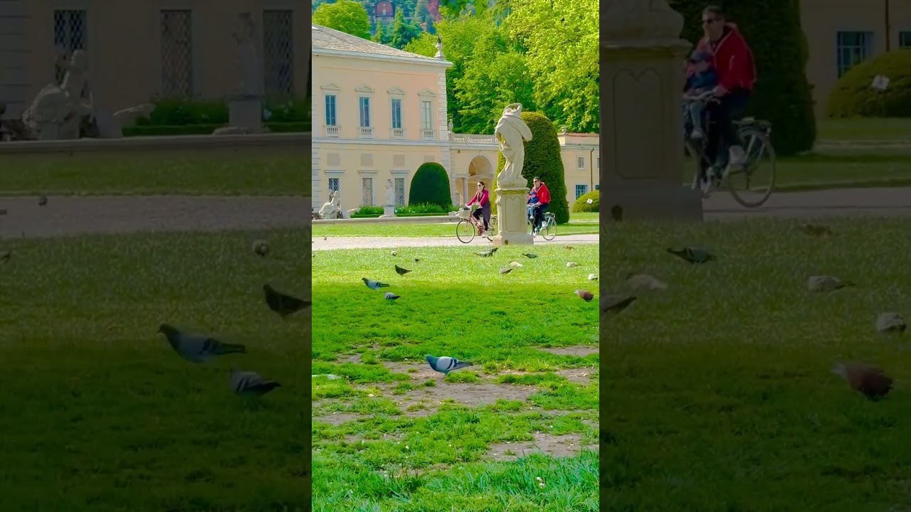 YouTube Short thumbnail