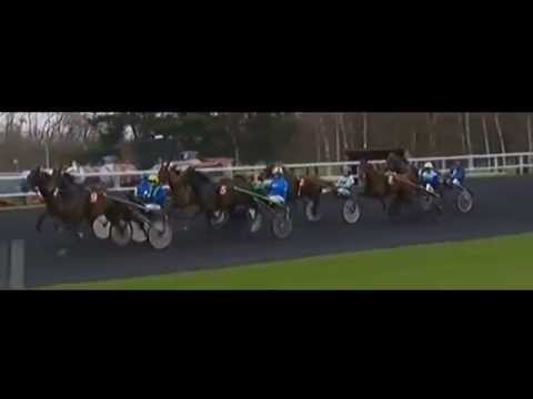 Prix Maurice De Gheest 2015_Cahal Des  Rioults_J. Verbeeck