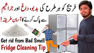 Fridge Cleaning: How to get rid from fridge bad smell and germs
