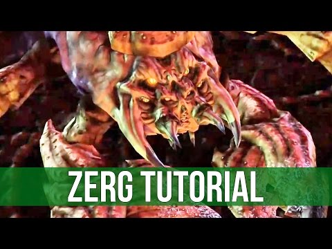 StarCraft 2: Zerg Tutorial - Drones before Army!