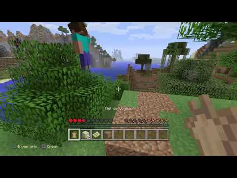Minecraft: PlayStation®4 Edition con bautylf2102