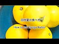 日向夏 今が旬 おいしい食べ方 How To Eat Hyuganatsu New Summer Orange