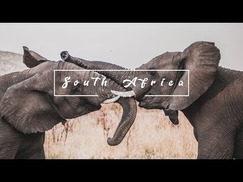South Africa Safari - Panasonic GH5 Sigma 18-35mm 1.8