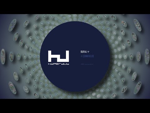 Burial - Comafields / Imaginary Festival (Full EP)