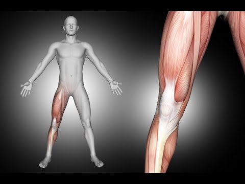 Lottare con osteocondrosi Il mal di schiena che curare la lombaggine