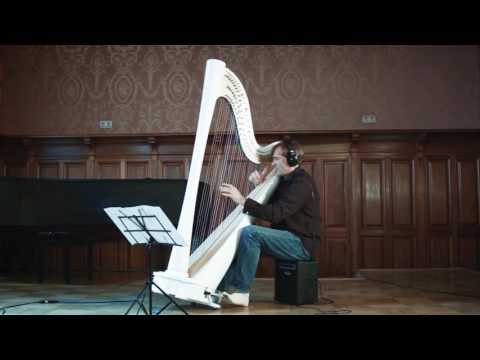 Andres Izmaylov, electric-acoustic pedal harp