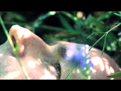 The Untied Knot - At The Threshold Of Perception (Promo film 2009)