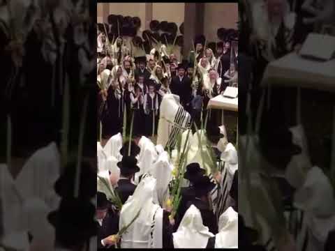 Hoshana Rabbah With Bobover Rebbe - 2017