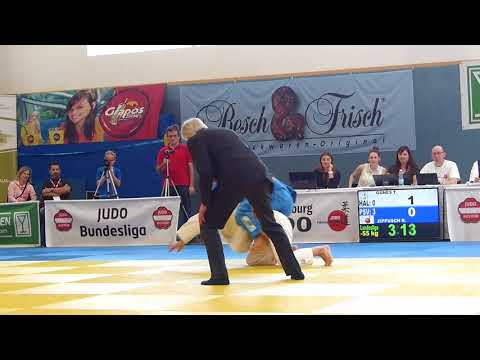 PSV Salzburg Judo Bundesliga 2017, 1. Runde , Alexander Weidlinger und Raphael Zippusch
