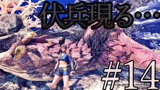 ９種の縛りでストーリークリア！【MHWI】#14
