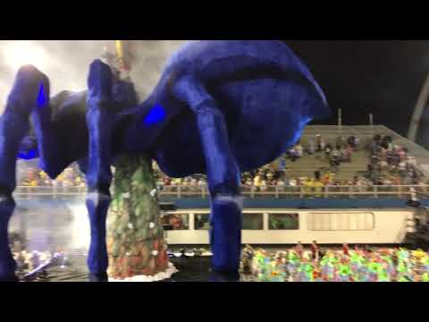Desfile das escolas de samba de São Paulo 2019
