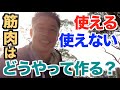 【#37】 使える筋肉と使えない筋肉とは何なのか?ボディビルダーの筋肉とその他の競技の筋肉についての筋トレの違いとは?