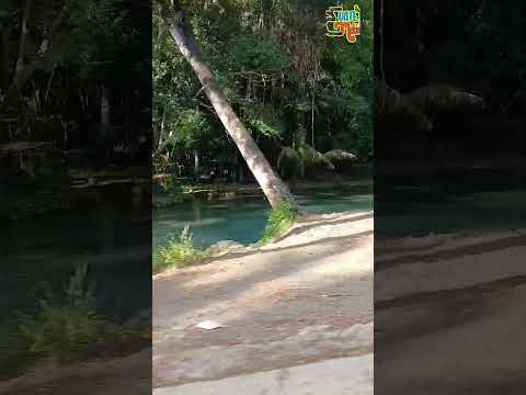 Río Zarco, El Estor, Izabal. Agua fría en un ambiente caluroso 🇬🇹🤤🌞🥳🥳 #shorts #short