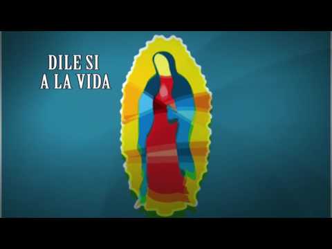 download lagu mp3 mp4 Pastoral Juvenil Latinoamericana, download lagu Pastoral Juvenil Latinoamericana gratis, unduh video klip Pastoral Juvenil Latinoamericana