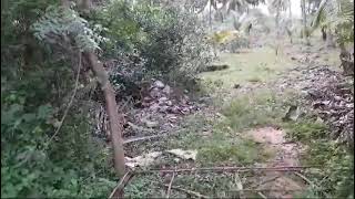  Agricultural Land for Sale in Marungulam, Thanjavur